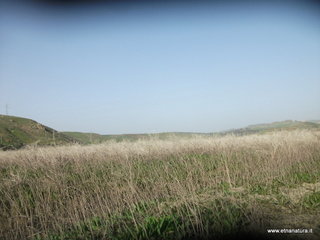 lle del Simeto-24-02-2013 08-49-11